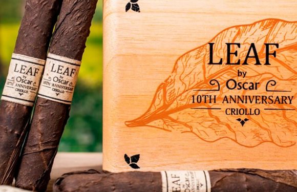 Leaf by Oscar 10th Anniversary Criollo hộp gỗ 20 điếu