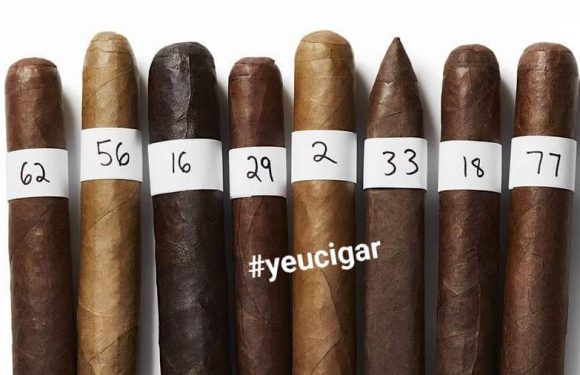 Cigar Aficionado đánh giá và review cigars như thế nào?