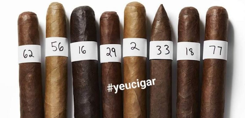 Cigar Aficionado đánh giá và review cigars như thế nào?