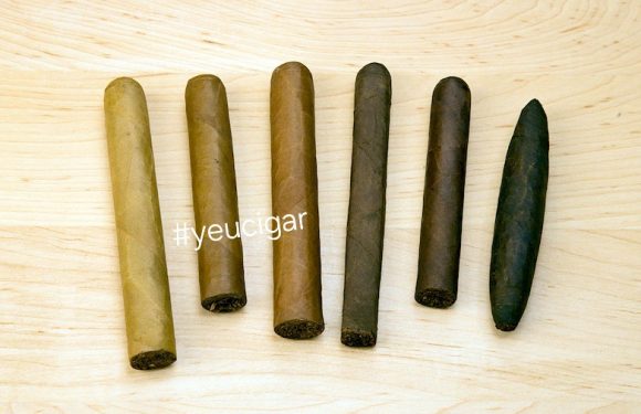Hình dạng, kích cỡ và màu sắc xì gà