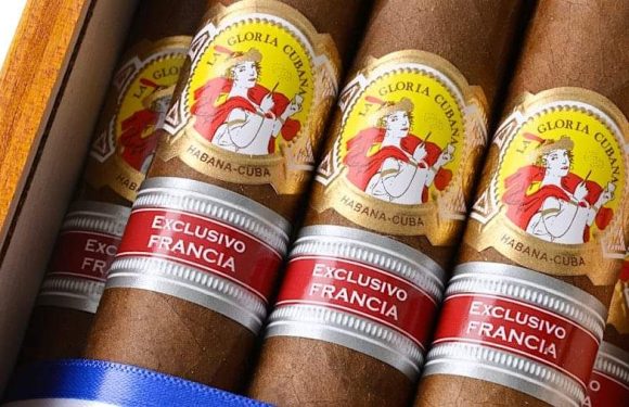 La Gloria Cubana Podium cho thị trường Pháp