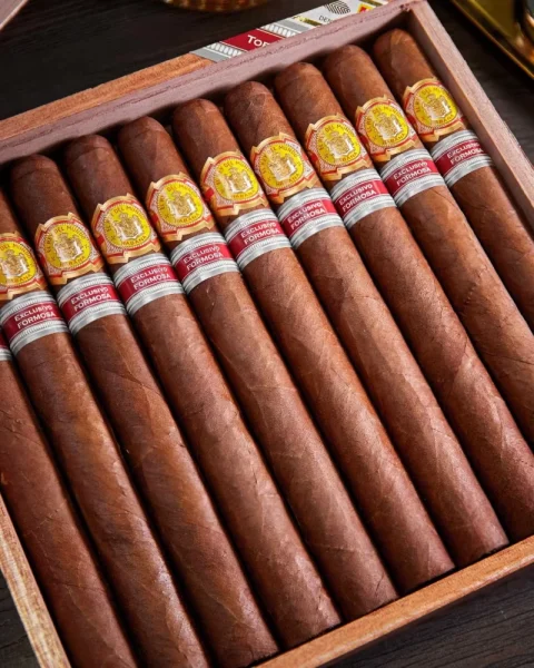El Rey del Mundo Tainos hộp 10 điếu