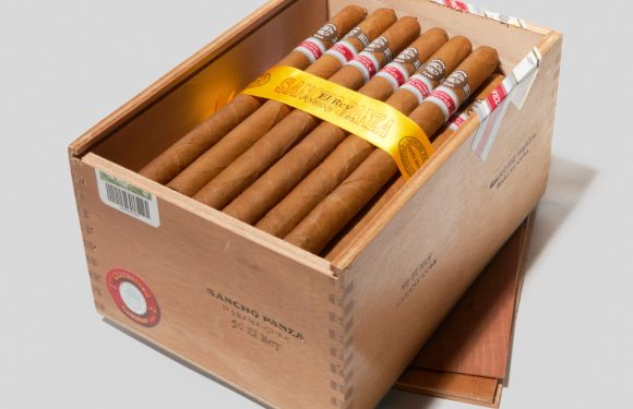 Xì gà Cuba Sancho Panza El Rey – Nhẹ nhàng, thanh thoát