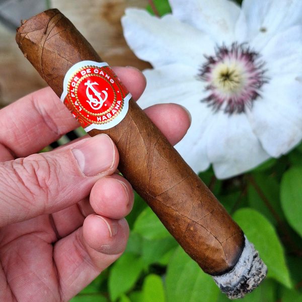 Review xì gà La Flor de Cano Elegidos