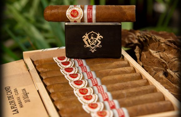 Review xì gà La Flor de Cano Mágicos – Edición Regional Italia 2018 nhẹ nhàng, tinh tế