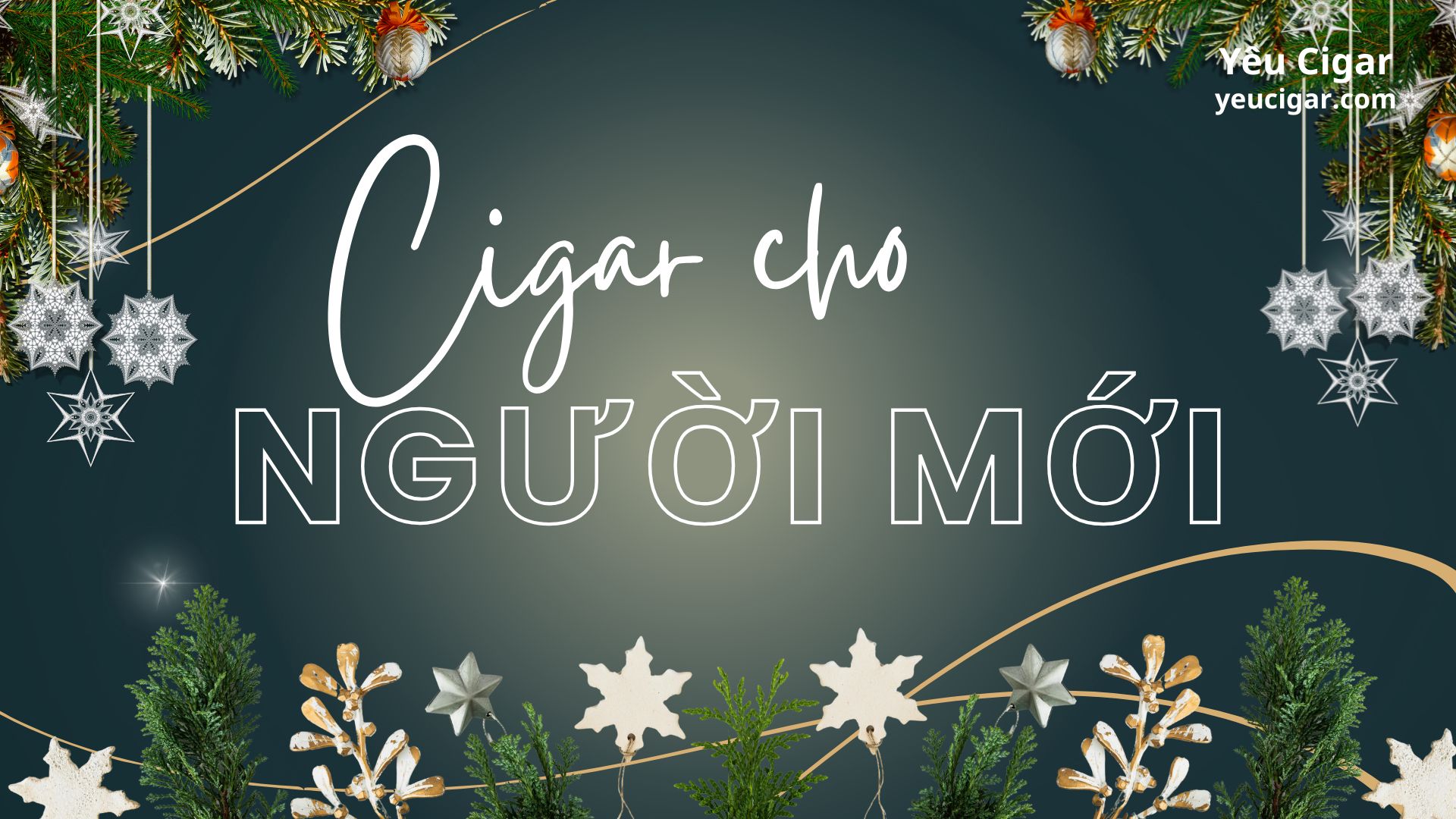 Podcast Yêu Cigar – Cigar cho người mới: tránh những sai lầm tốn tiền nhất cigar nguoi moi