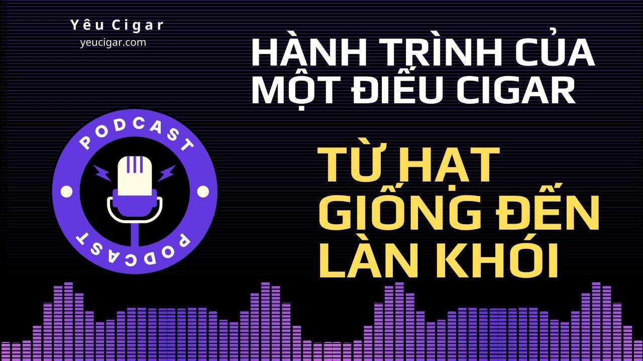 Yêu Cigar Podcast – Không gian thưởng thức & văn hoá cigar dành cho người Việt
