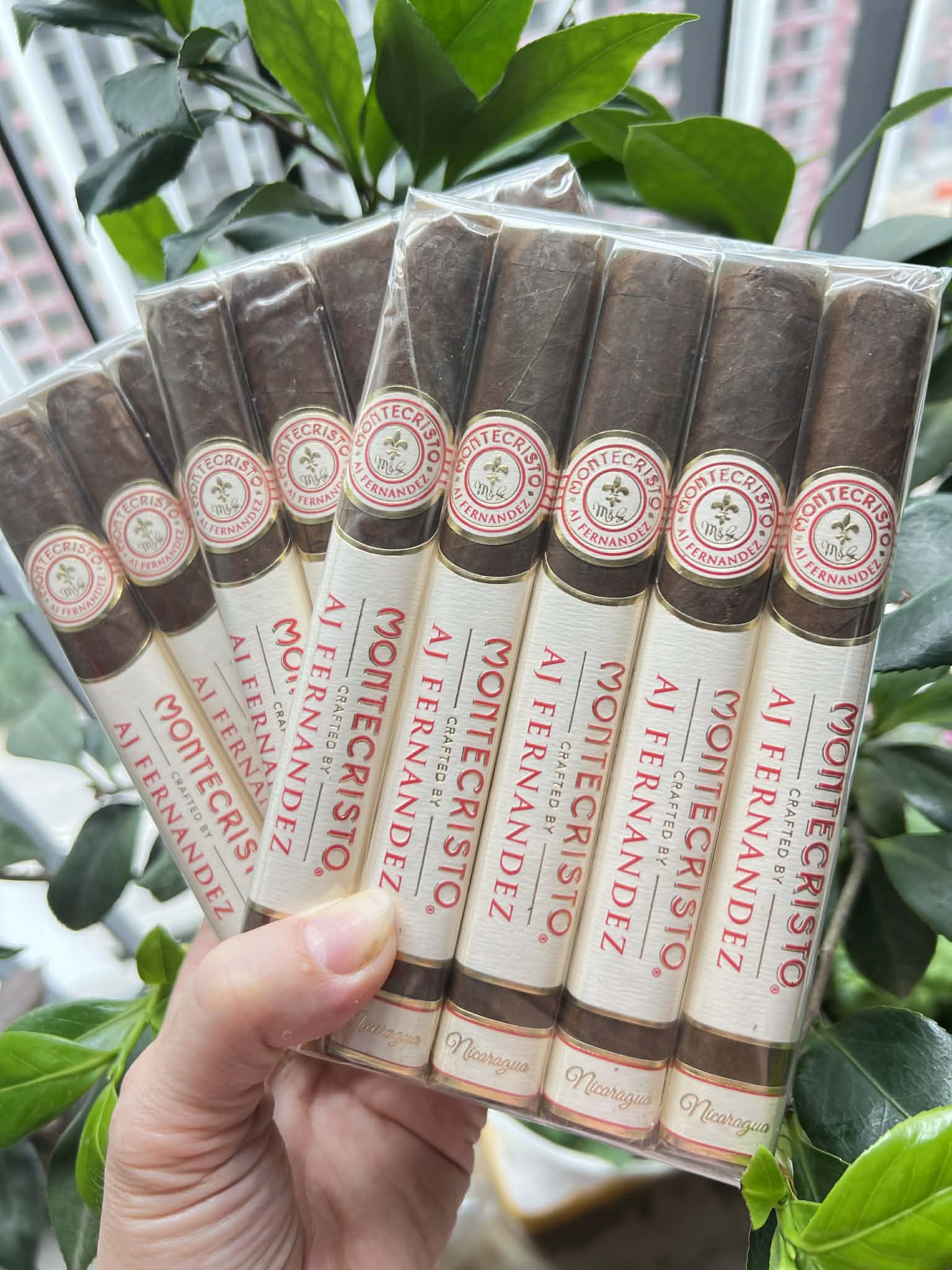 Montecristo Crafted by AJ Fernandez
