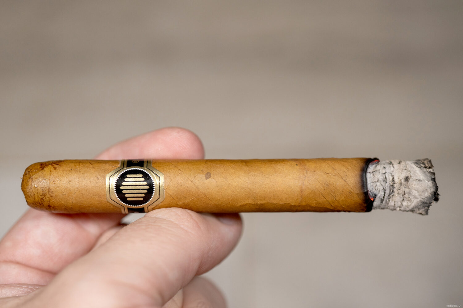 Đánh Giá Xì Gà La Colmena Amado No. 40 Thực Tế
