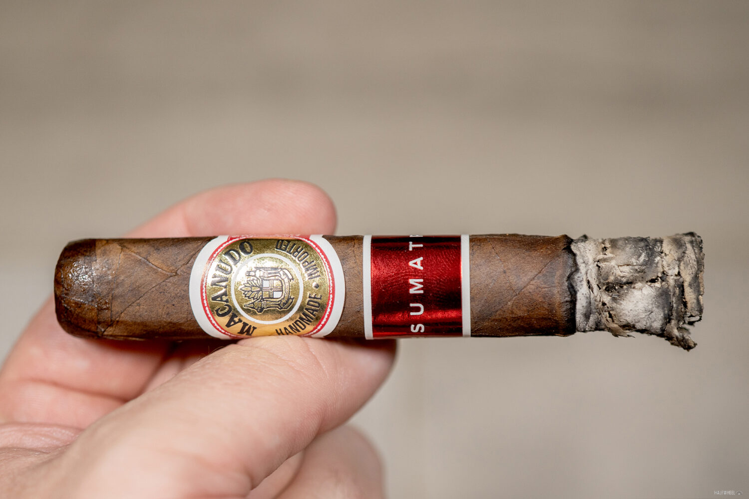 Đánh Giá Xì Gà Macanudo Sumatra Robusto