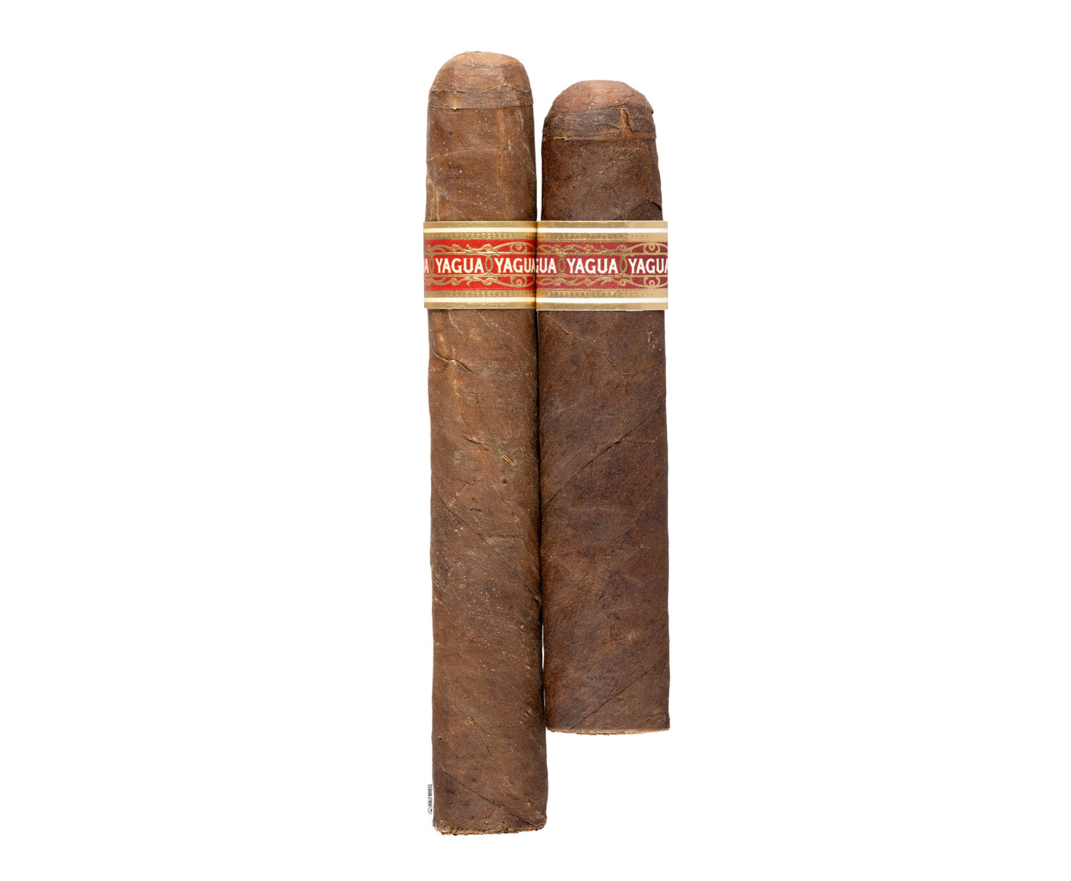 Đánh giá J.C. Newman Yagua Robusto: Di sản ép bẹ cọ độc bản